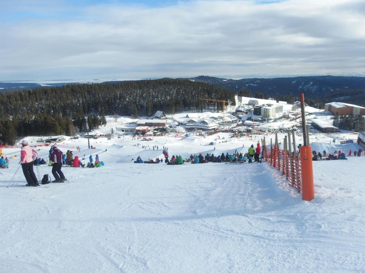 Enjoy Ferienwohnung Feldberg Grafenmatt エクステリア 写真
